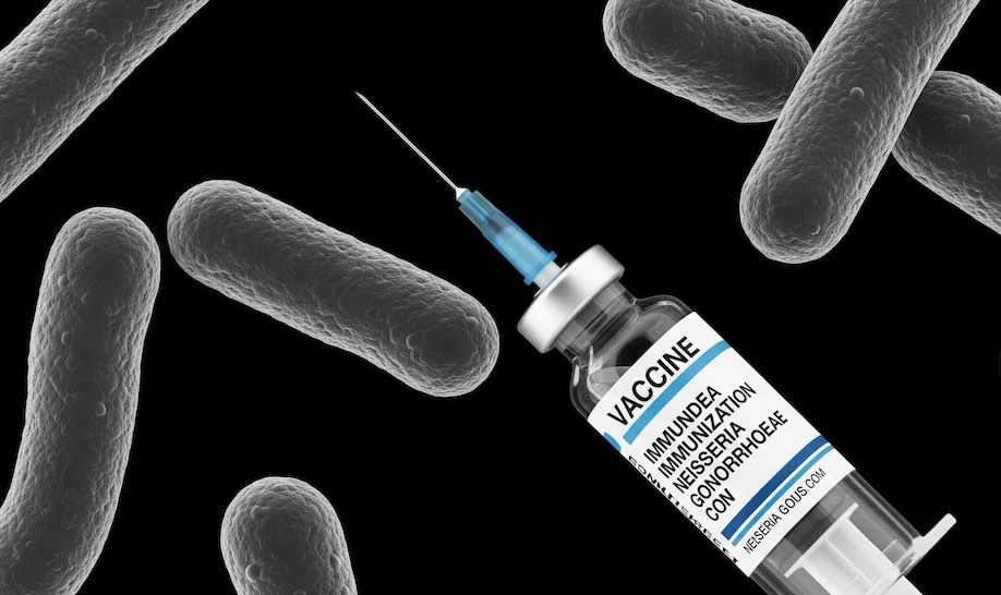 Gonorrhea vaccine
